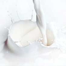 SBR Latex 1 SBR Latex