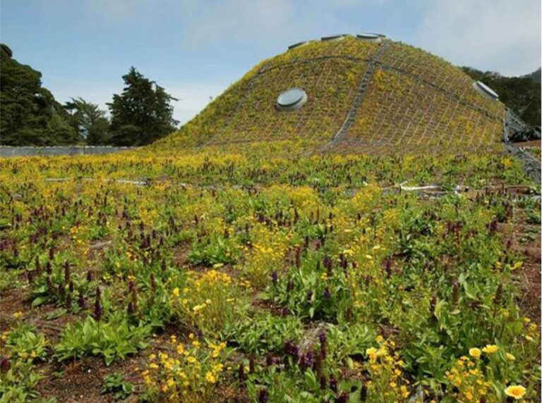 green roof waterproofing: