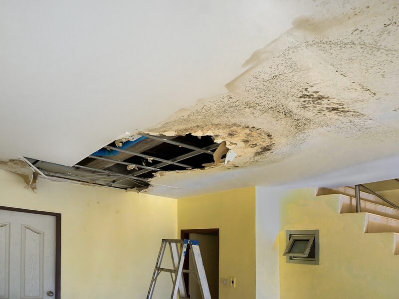 Thermography: Unveiling Hidden Leaks and Dampness 9 Aesthetic Damage Water leak Waterproofing