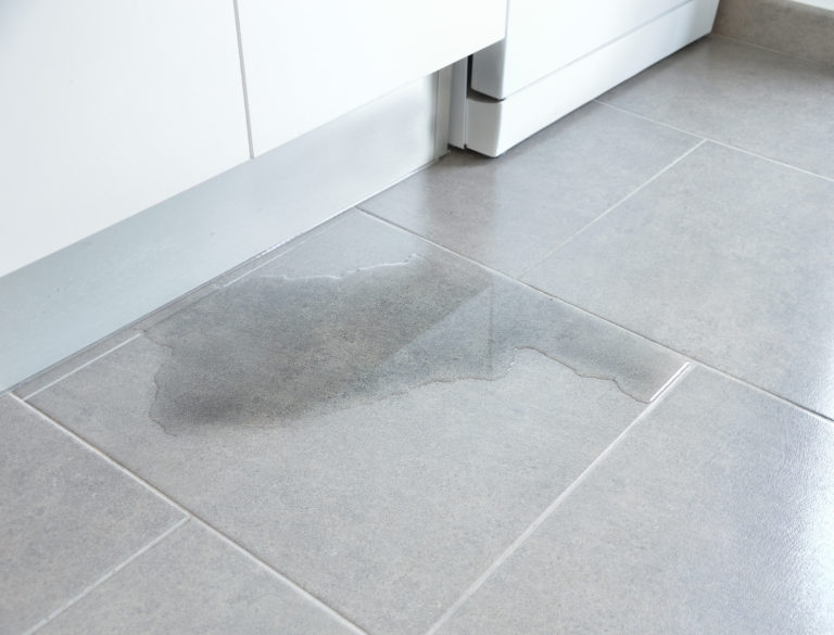 Thermography: Unveiling Hidden Leaks and Dampness 4 Water leak below tile